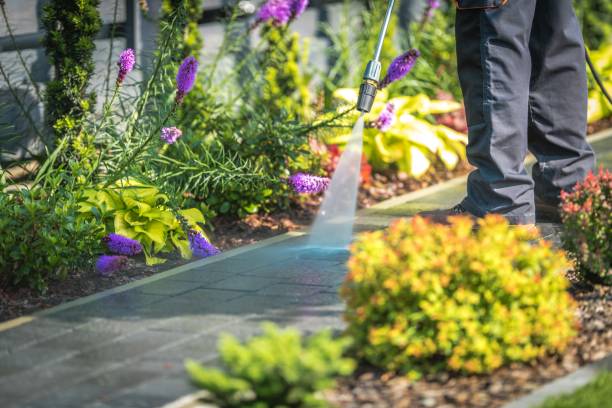 Best Boat and Dock Cleaning  in Trucksville, PA