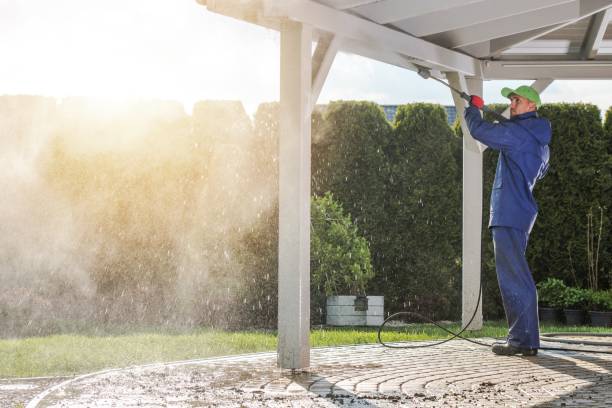 Best Paint Preparation  in Trucksville, PA